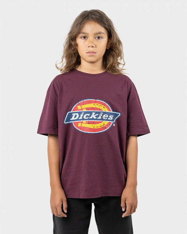 Dickies Classic Logo Distressed Youth