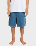 Billabong Boys Bad Dog Denim Short