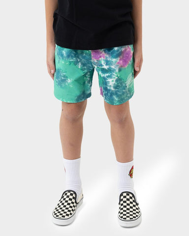 Santa Cruz Industrial Dot Mono Boardshort