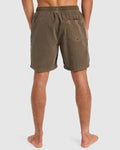 Quiksilver Everyday SurfWash Volley Short
