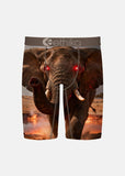 Ethika Boys Thunder Tusk Staple