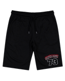 Santa Cruz Collegiate Arch 73 Track Shorts