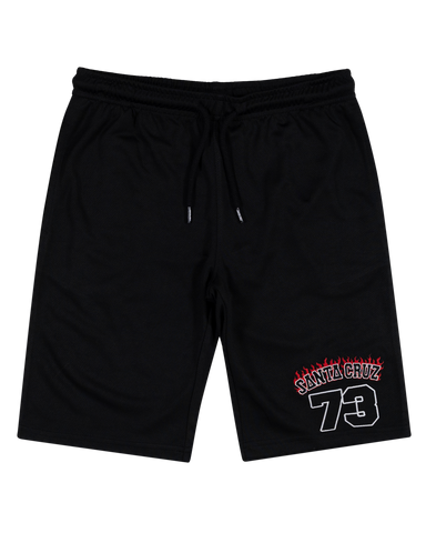 Santa Cruz Collegiate Arch 73 Track Shorts