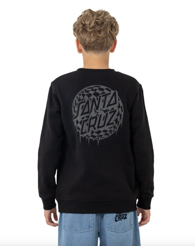 Santa Cruz Check Waste Dot Mono Reflect Regular Fit Crew