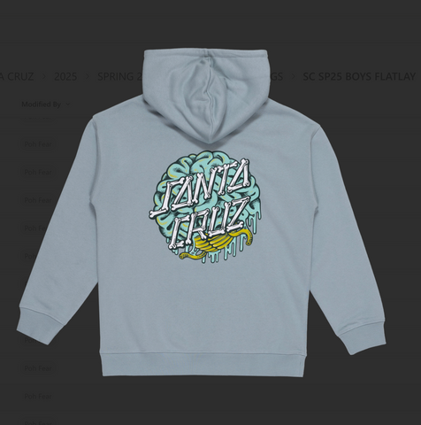 Santa Cruz Brain Dot Centre Hoodie