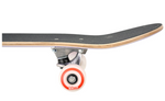 DEC Kids Frank Mini Skateboard