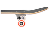 DEC Kids Frank Mini Skateboard