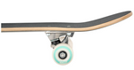 DEC Kids Frank Mini Skateboard