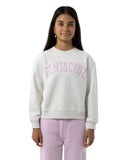 Santa Cruz Collegiate Strip Front Sweater