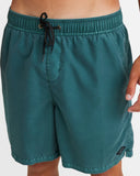Billabong All Day Overdye Layback 17" Boardshort