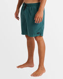 Billabong All Day Overdye Layback 17" Boardshort