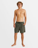 Billabong Mens All Day Overdye Layback Shorts