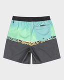 Quiksilver Everyday Straight Volley Youth 14"