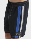 Quiksilver Interconnect Volley Youth Swim Shorts