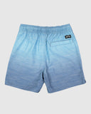 Billabong Boys Sergio Layback Shorts