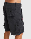 Element Source Cargo Shorts